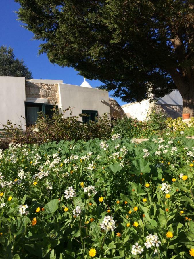 切列梅萨皮卡Il Giardino Di Viola住宿加早餐旅馆 外观 照片