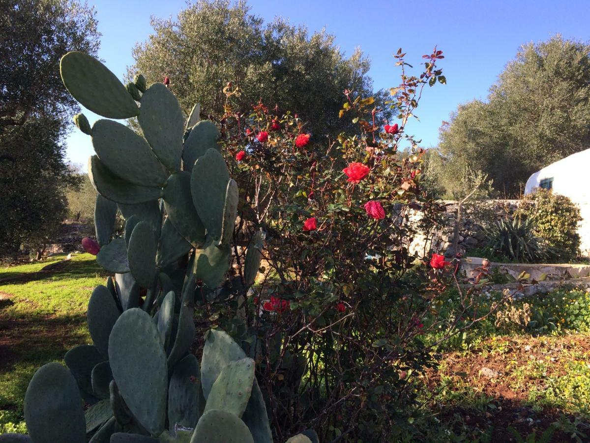 切列梅萨皮卡Il Giardino Di Viola住宿加早餐旅馆 外观 照片